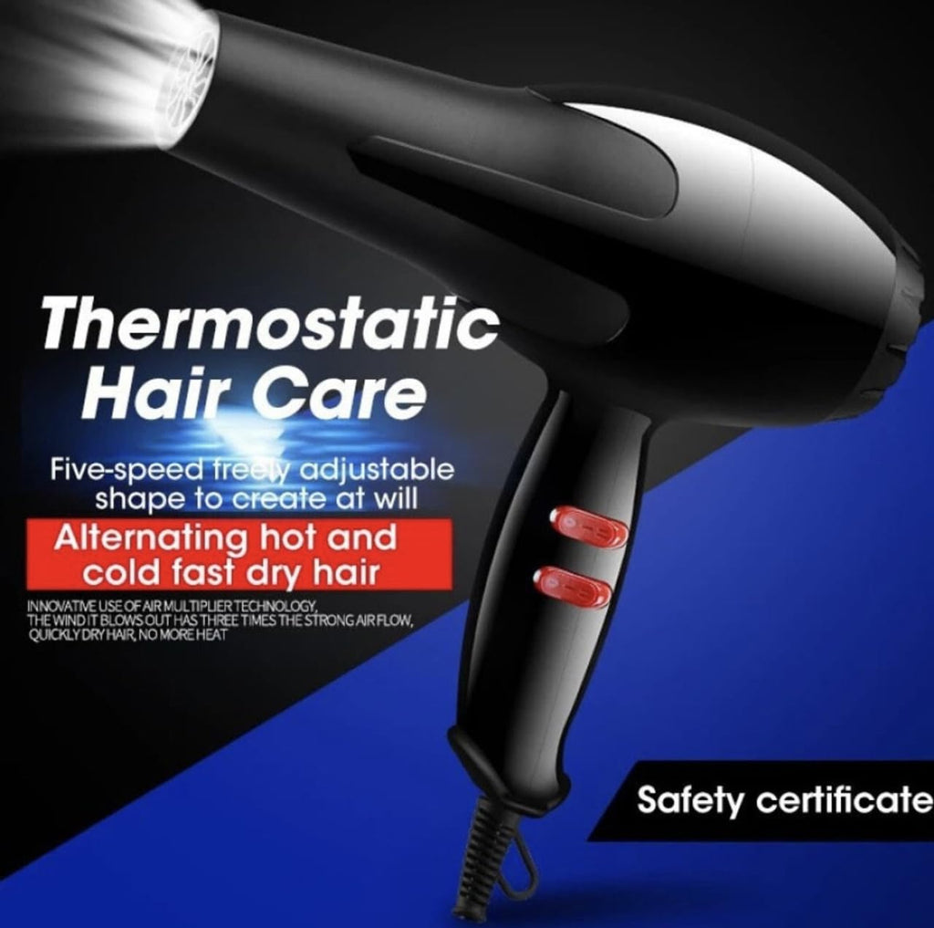 Professional Hair Dryer 1500 Watts (Black)
